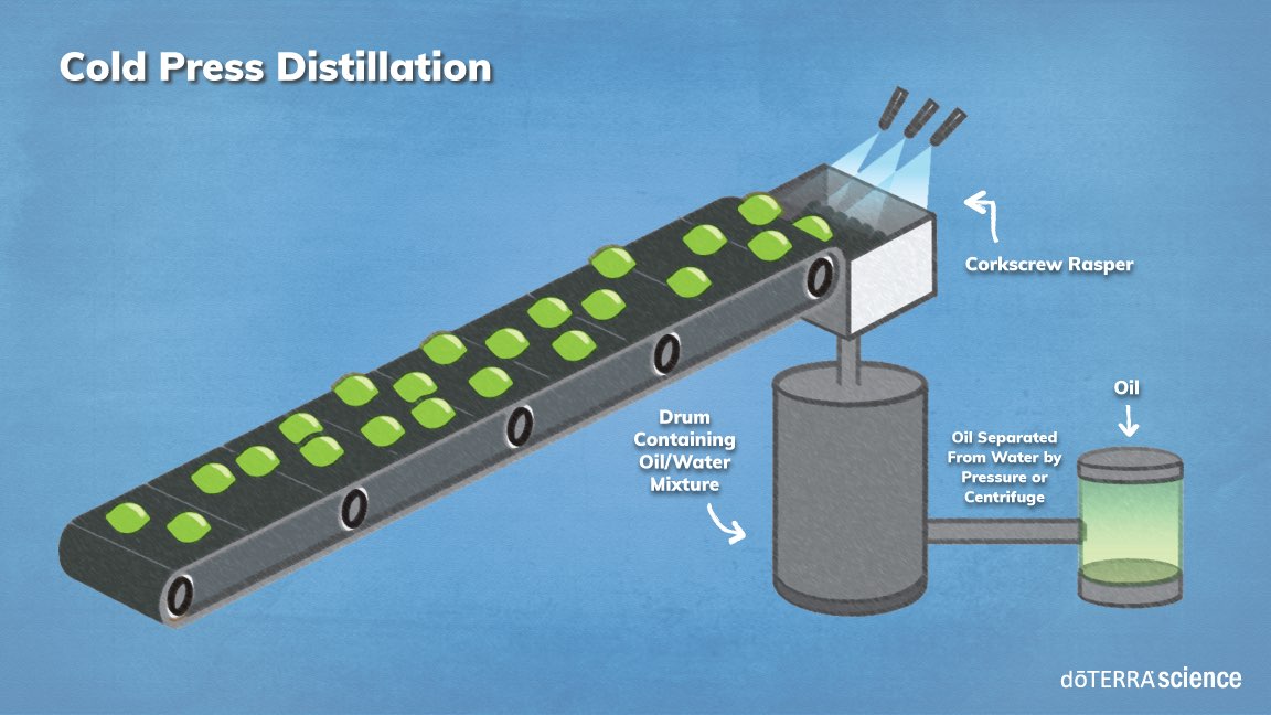 Cold Pressing Extraction What Is Cold Pressed Oil Extraction? – CEMVJ