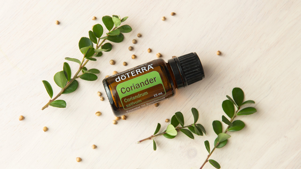 The History Behind Coriander Dōterra Essential Oils