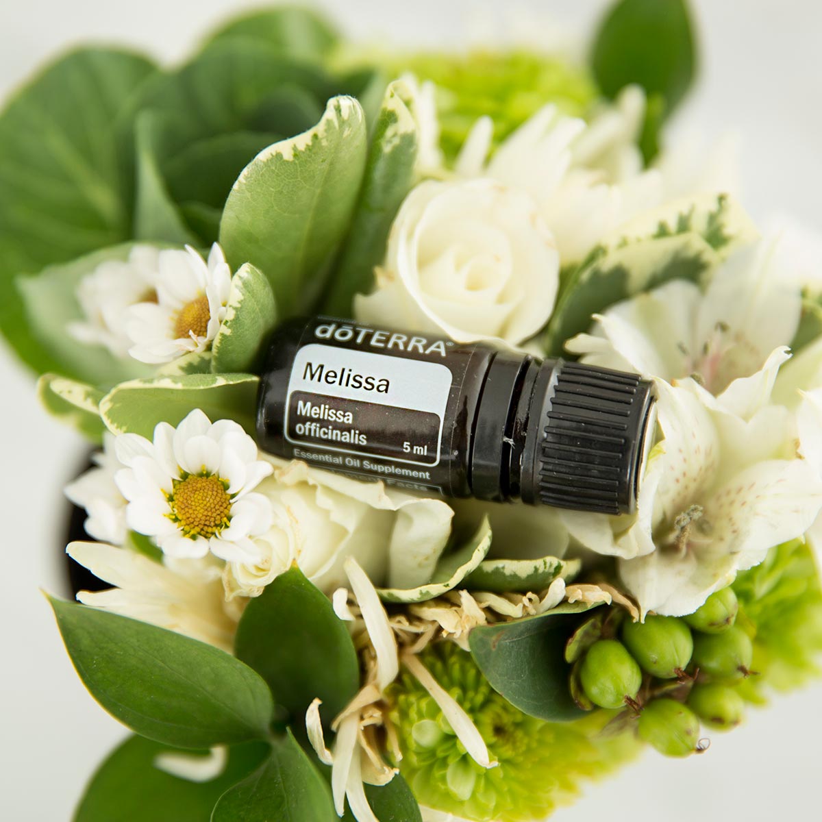 Bottle of doTERRA Melissa essential oil surrounded by white flowers and green leaves. What are the benefits of Melissa oil? Melissa essential oil has several benefits, including internal benefits, benefits for skin, and for relaxation. 