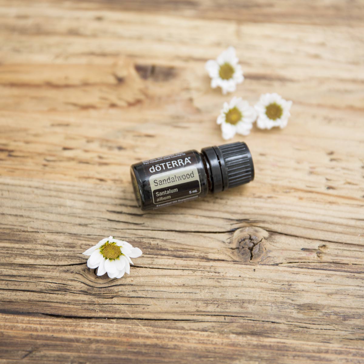 Bottle of Sandalwood oil on a wood surface next to small, white flowers. What are the benefits of Sandalwood oil? Sandalwood essential oil has major benefits for the skin and is commonly used during meditation for it’s grounding characteristics. 