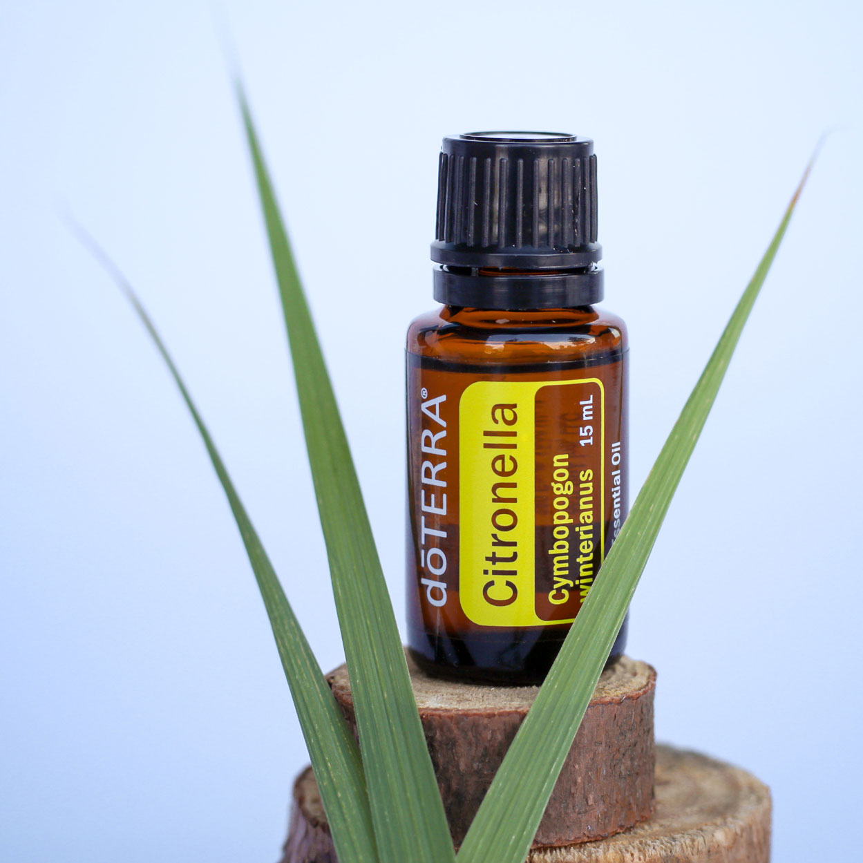 Doterra Citronella Essential Oil Dōterra Essential Oils