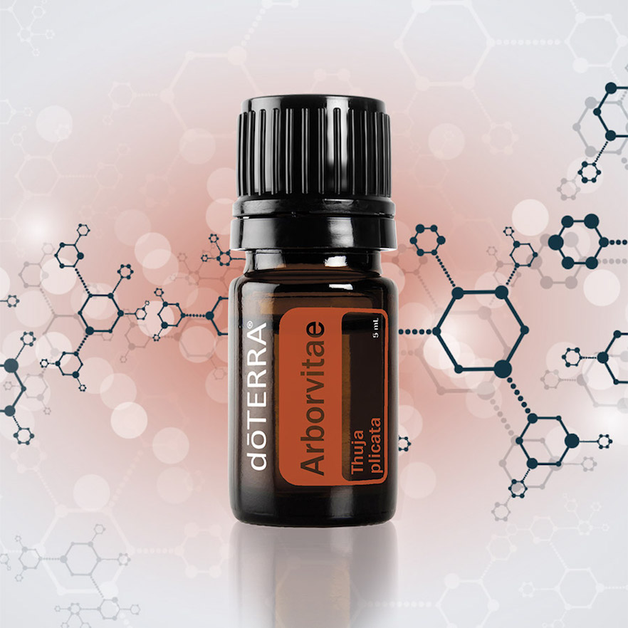 doterra arborvitae study dōterra essential oils doterra university