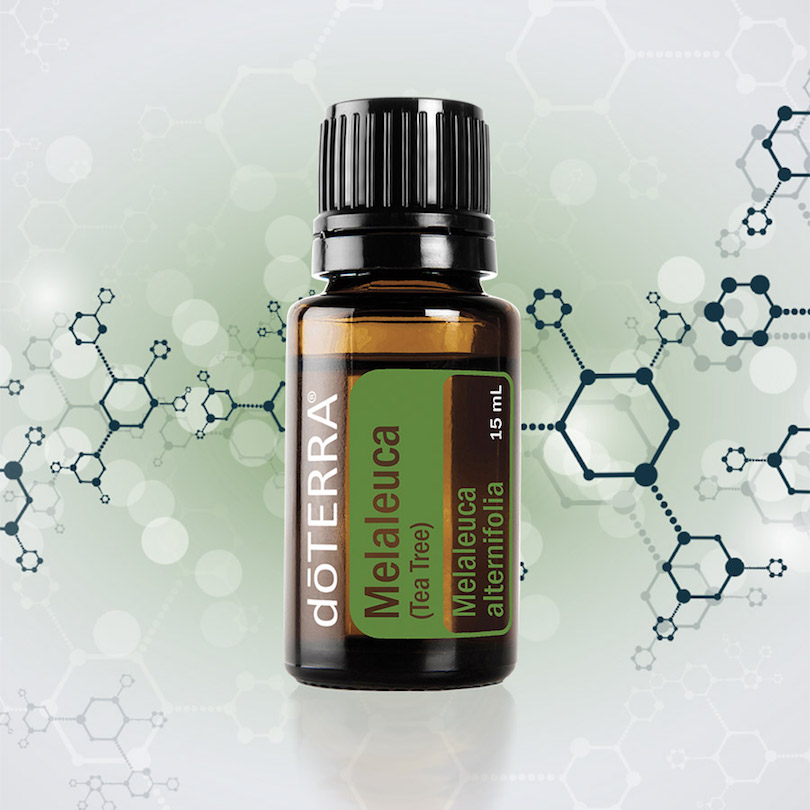 doterra melaleuca study dōterra essential oils doterra university