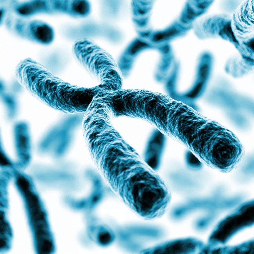 Exercise and Biological Aging dōTERRA Essential Oils Exercise and Biological Aging dōTERRA Essential Oils