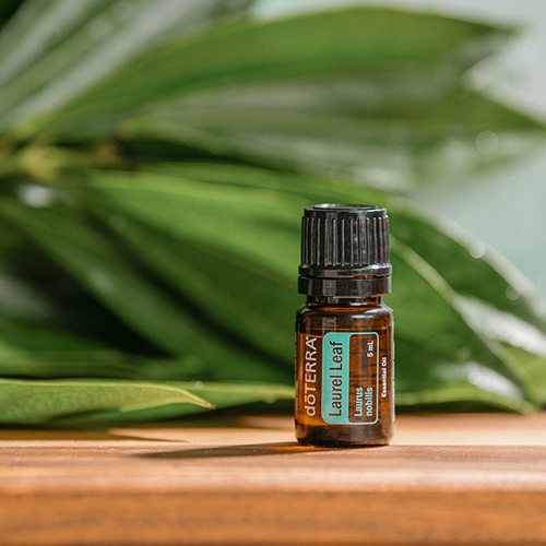 Laurel Leaf  dōTERRA Essential Oils