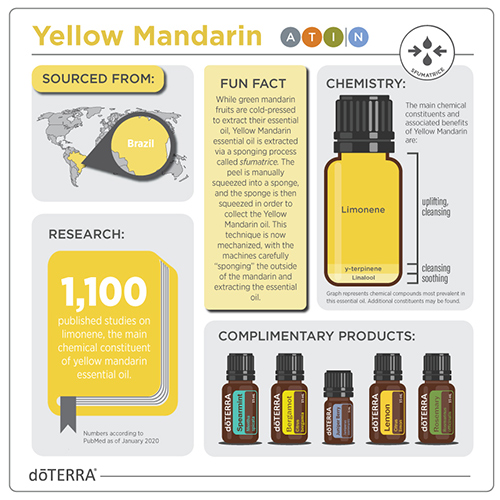1x1-500x500-yellow-mandarin-infographic.jpg
