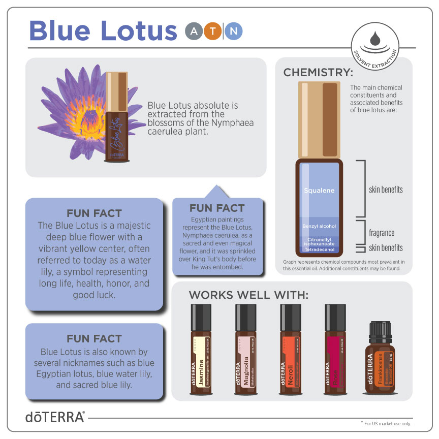 1x1-864x864-blue-lotus-infographic(2).jpg