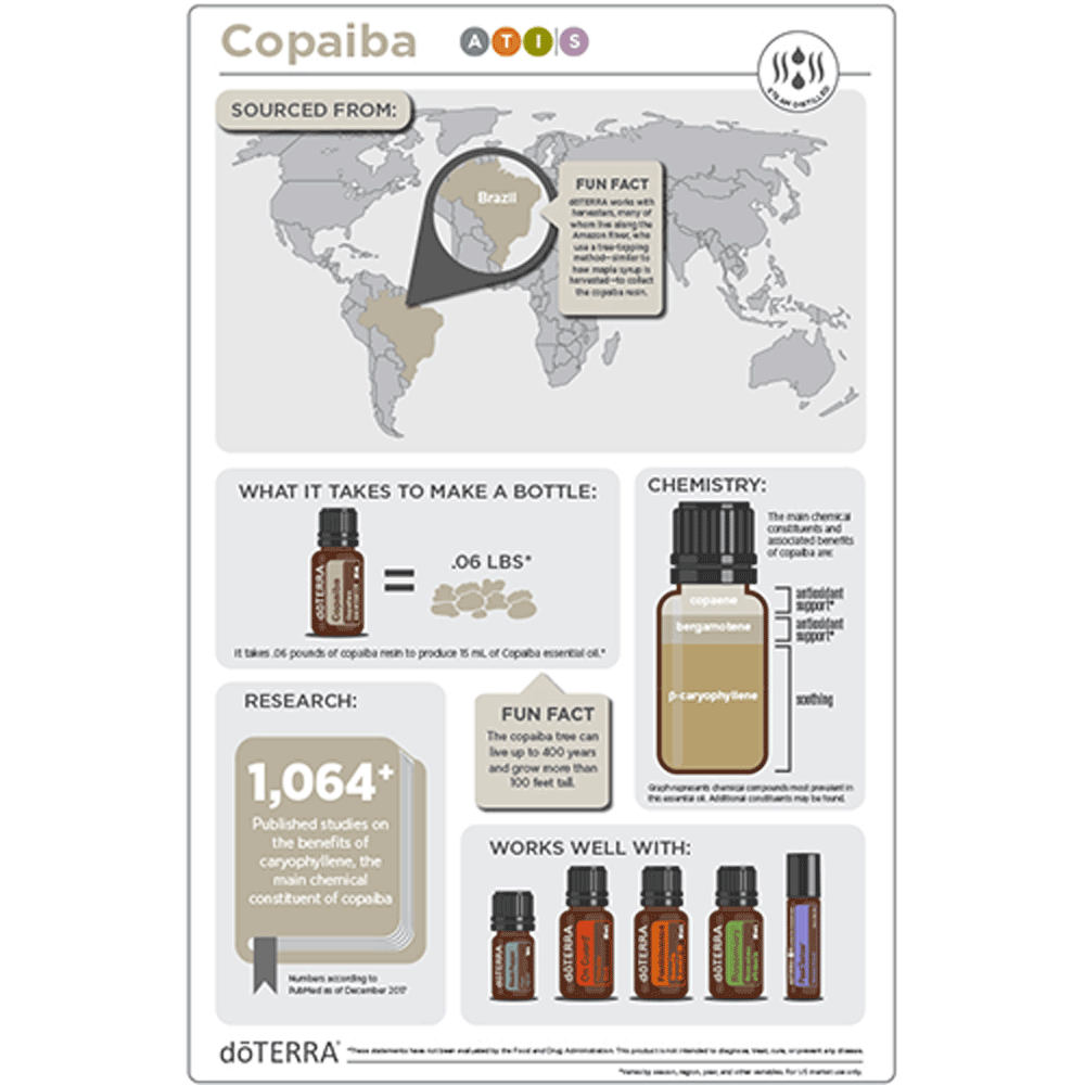 1x1-copaiba-infographic.png