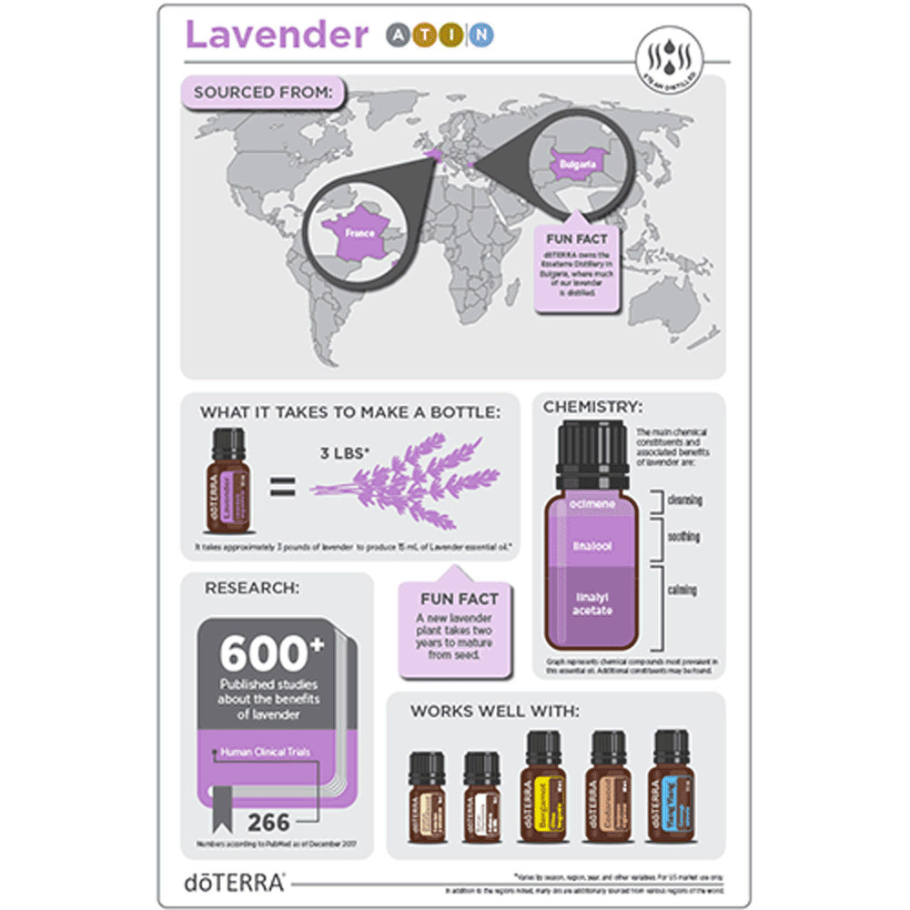1x1-lavender-infographic.png