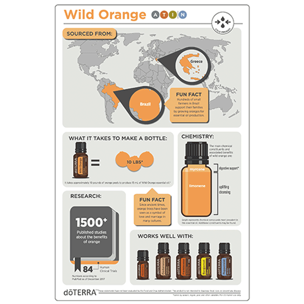1x1-wild-orange-infographic.png