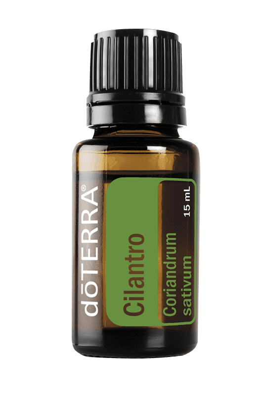 Cilantro Essential Oil