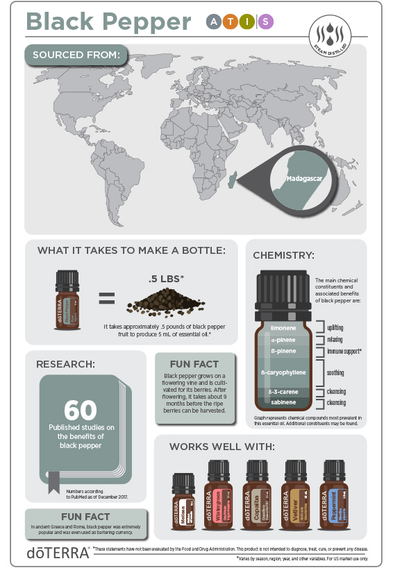 2x3-566x819-black-pepper-infographic.jpg