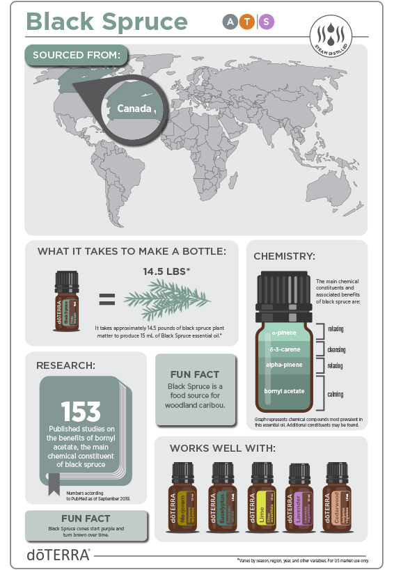 Essential Oil Perfume Recipes Pdf Essential Oil Perfume Recipes Pdf