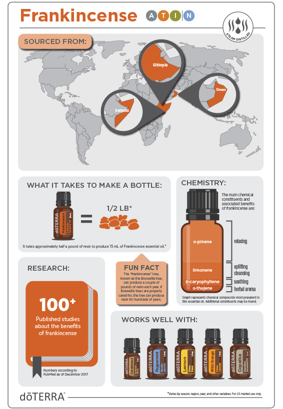 2x3-566x819-frankincense-infographic2.jpg