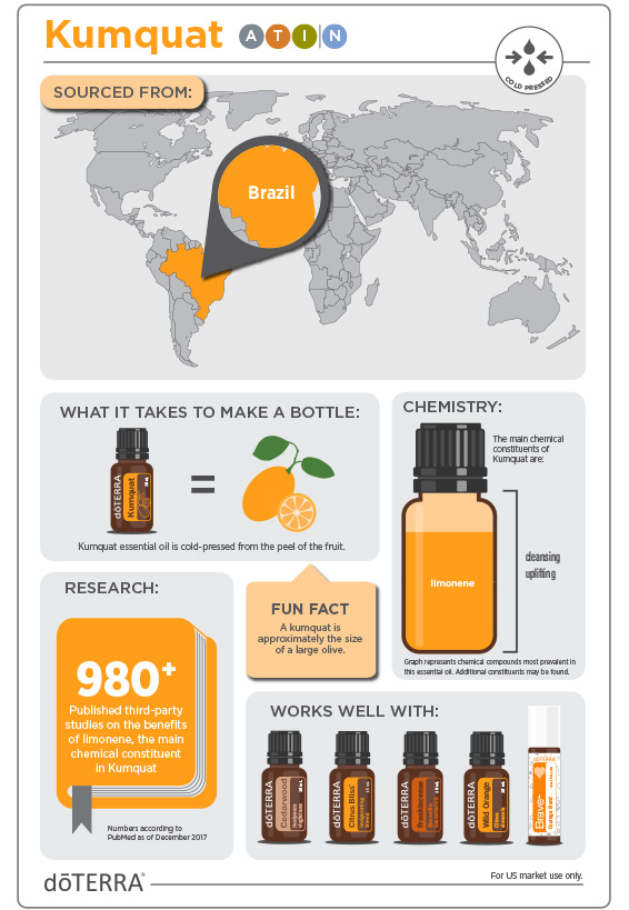 2x3-566x819-kumquat-infographic.jpg