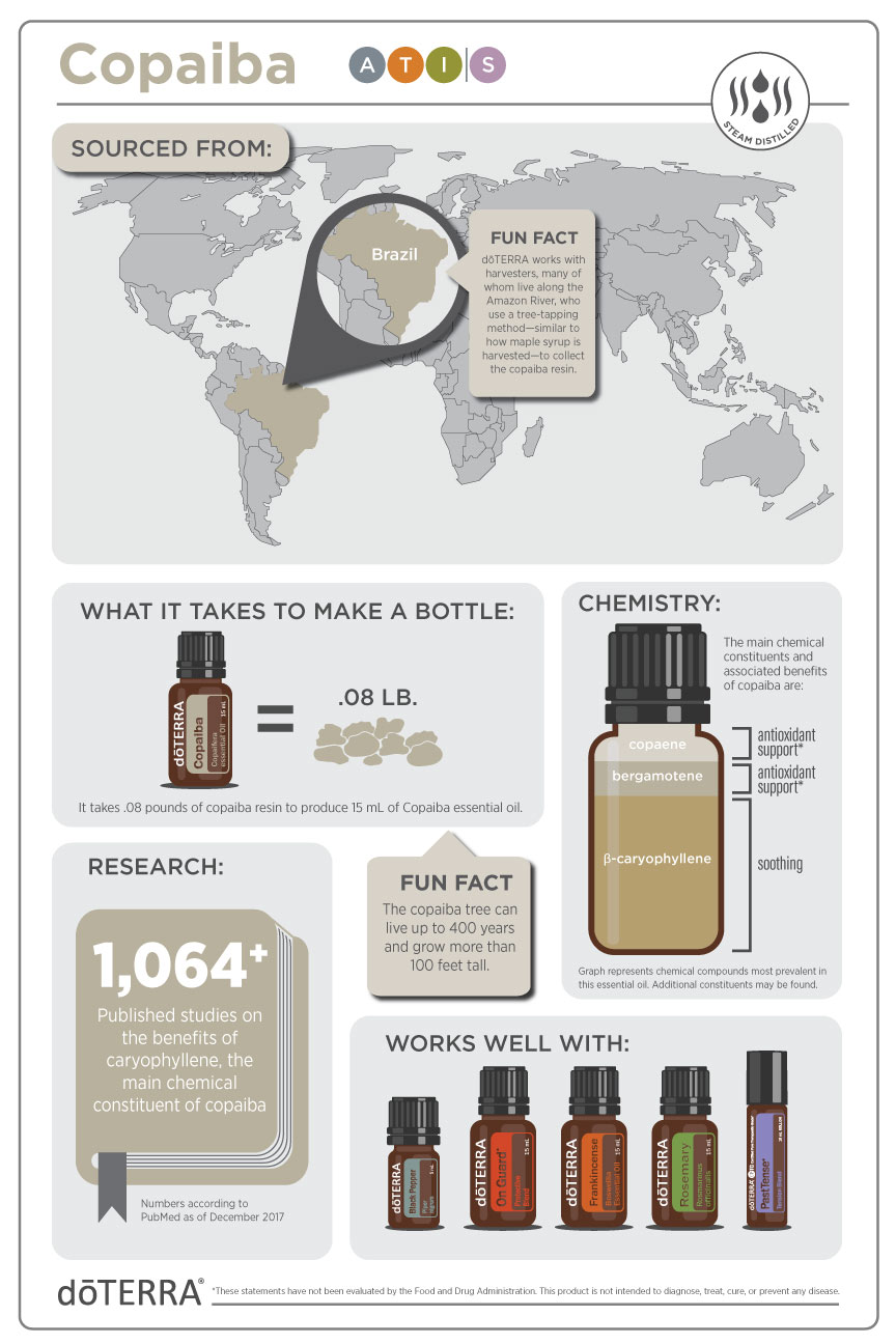 2x3-864x1296-copaiba-infographic-us-en-web.jpg 2x3-864x1296-copaiba-infographic-us-en-web.jpg
