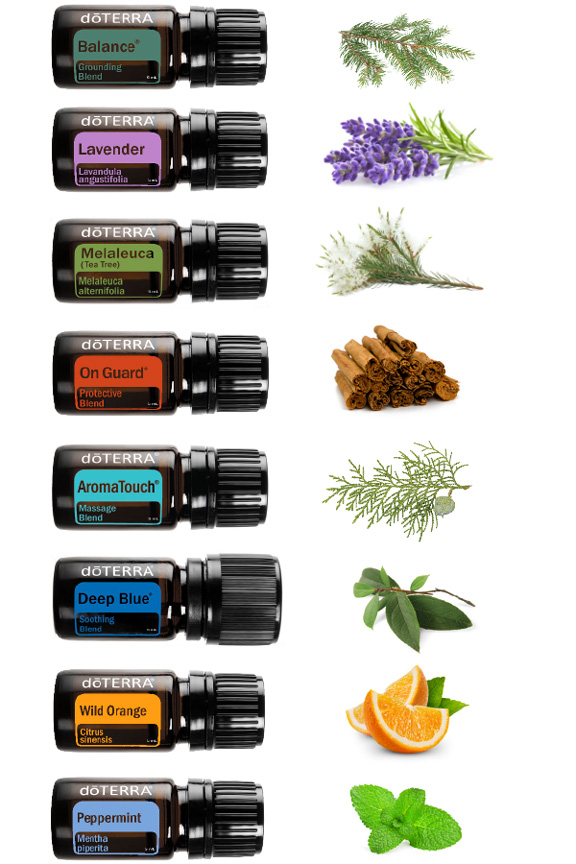 2x3-aromatouch-oils-botanicals.jpg 2x3-aromatouch-oils-botanicals.jpg