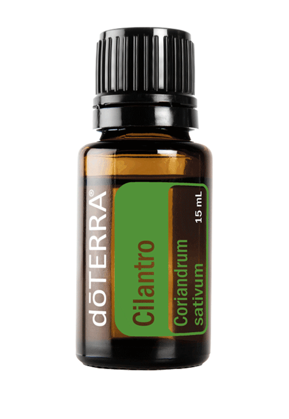 Cilantro Essential Oil