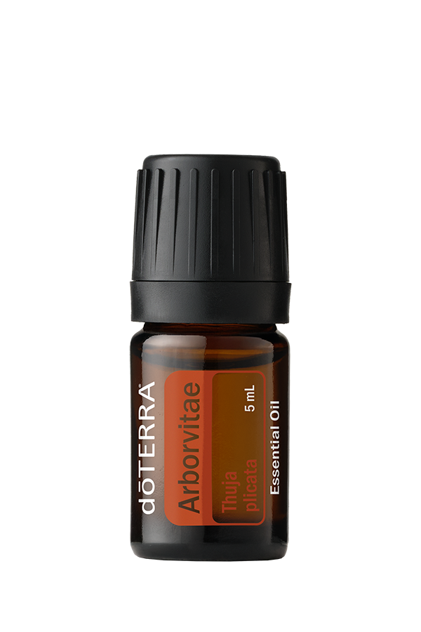 Arborvitae Essential Oil | doTERRA Essential Oils Arborvitae Essential Oil | doTERRA Essential Oils