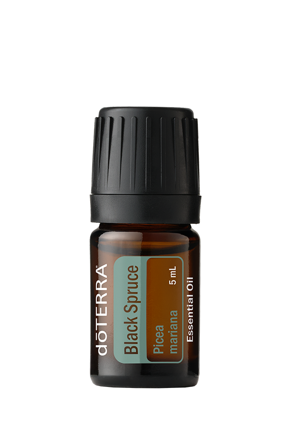 Black Spruce Oil | doTERRA Essential Oils Black Spruce Oil | doTERRA Essential Oils
