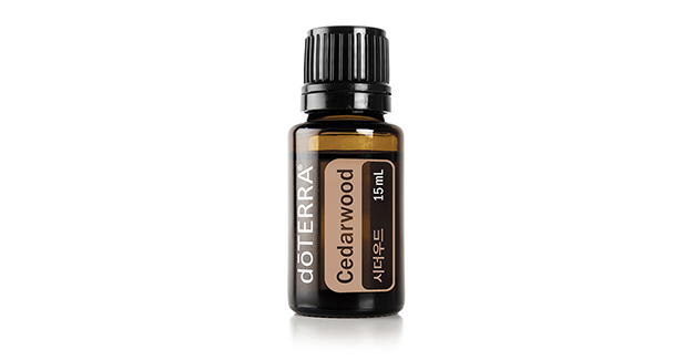 시더우드 | Cedarwood | 도테라 에센셜 오일