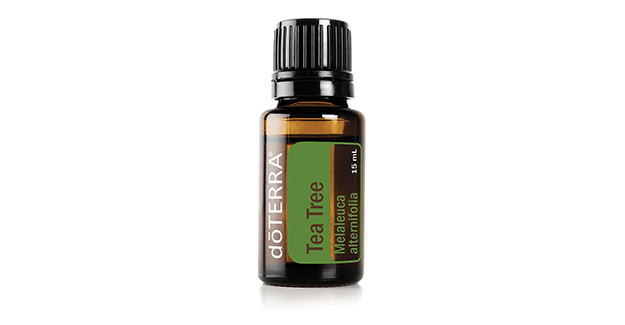 Tea Tree Oil Melaleuca Essential Oil Dōterra Essential Oils