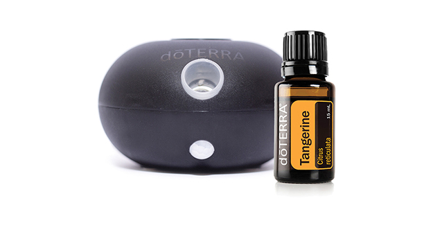 Buy doTERRA Bubble Diffuser and On Guard