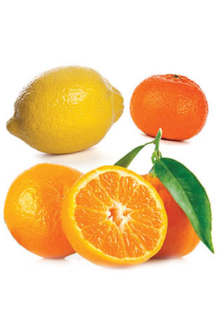 2x3_840x1260_citrus-bliss_botanical_us_english_web.jpg