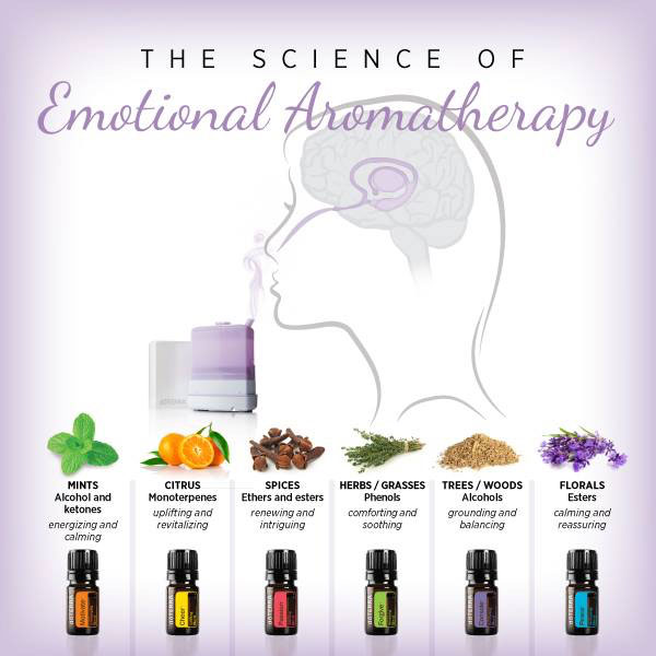 the science of emotional aromatherapy dōterra essential oils doterra university