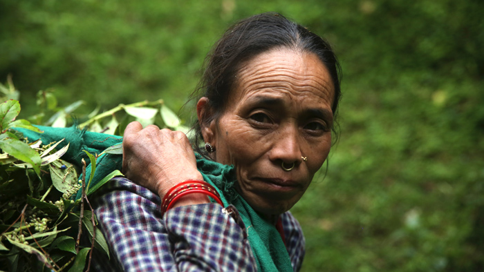 2x3_700x394_nepal_related_content_us_english_web.jpg 2x3_700x394_nepal_related_content_us_english_web.jpg