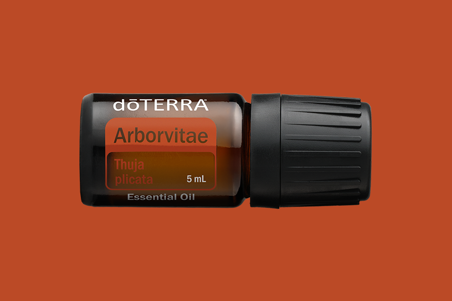 Aceite Esencial de Tuya