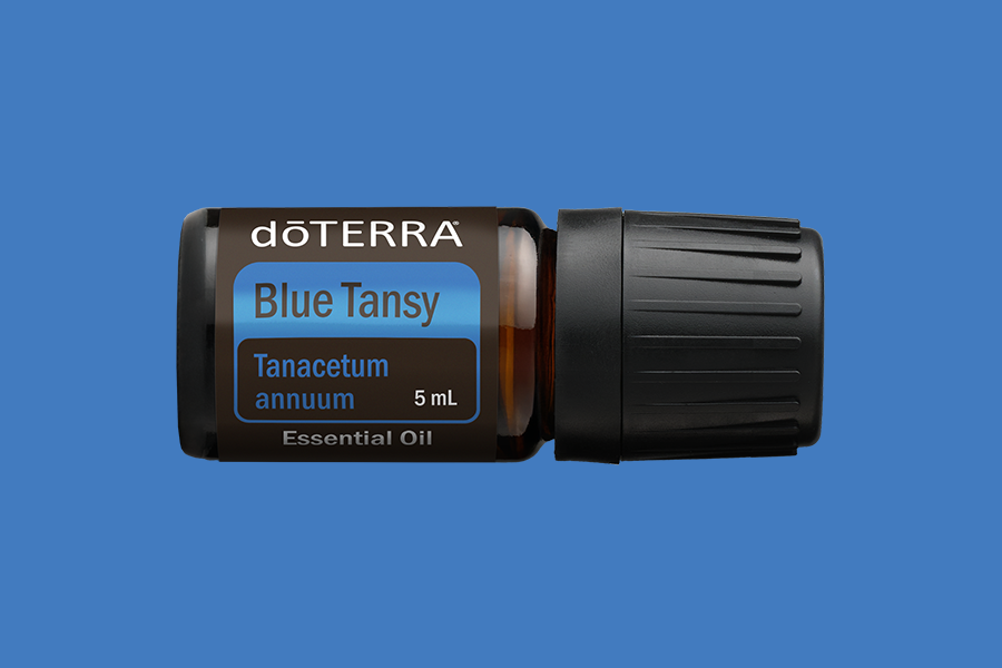 Blue Tansy Oil | doTERRA Essential Oils Blue Tansy Oil | doTERRA Essential Oils