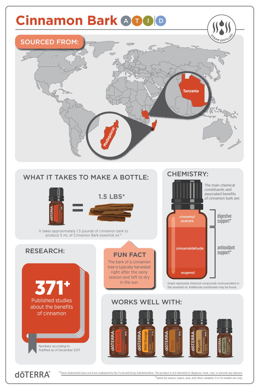 Cinnamon-Bark Infographic