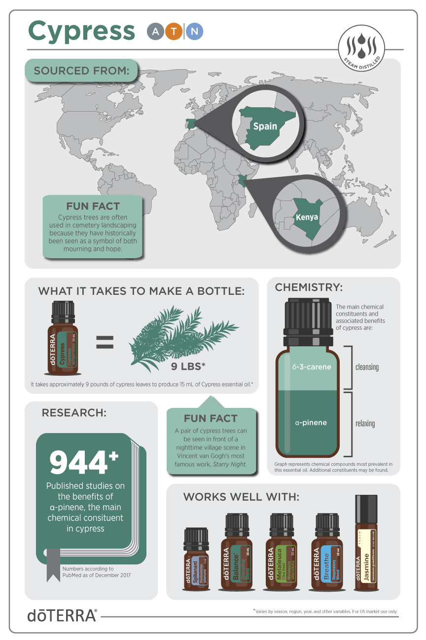 Cypress Infographic
