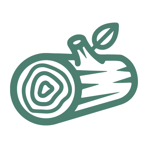 cypress wood icon