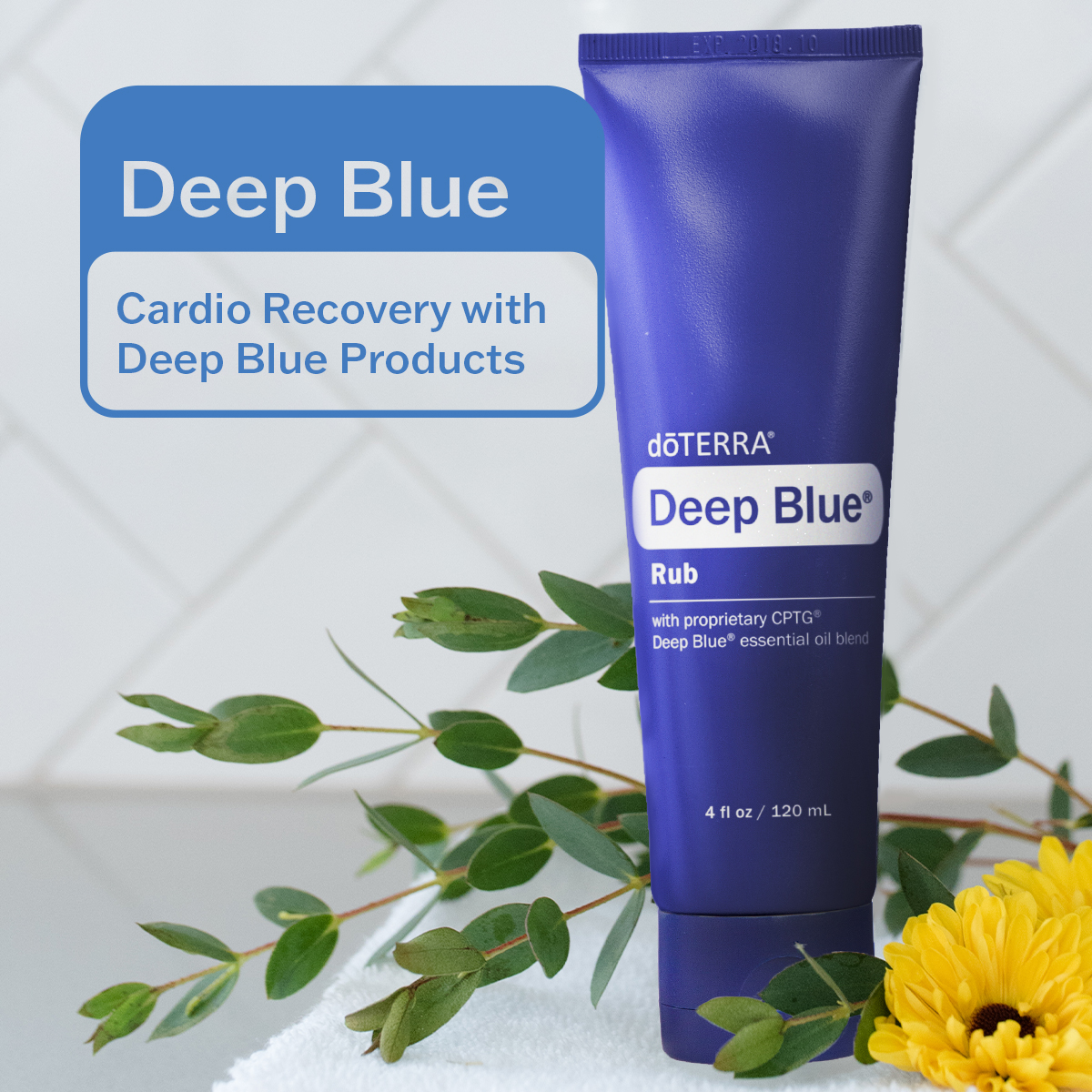Deep Blue Rub D TERRA Essential Oils Deep blue rub d terra essential oils