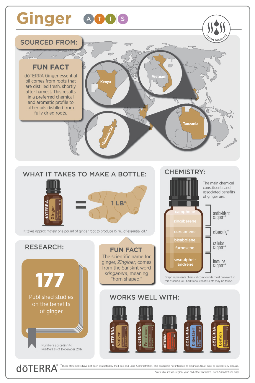 Ginger Oil Infographic