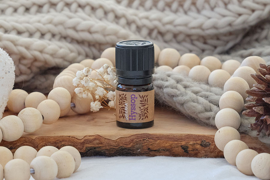 Hyssop-900x600.jpg Hyssop-900x600.jpg