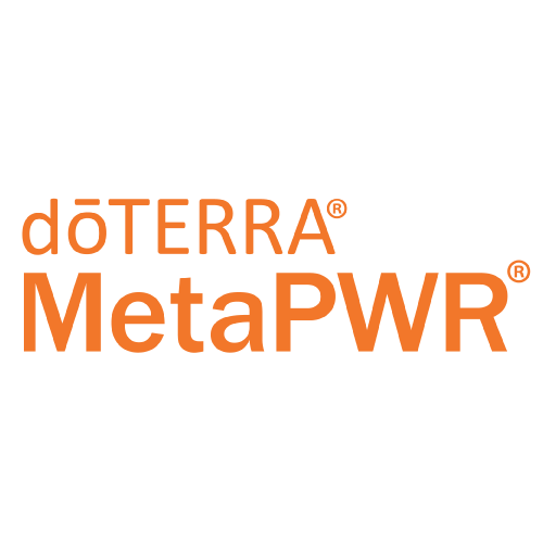 metapwr logo icon