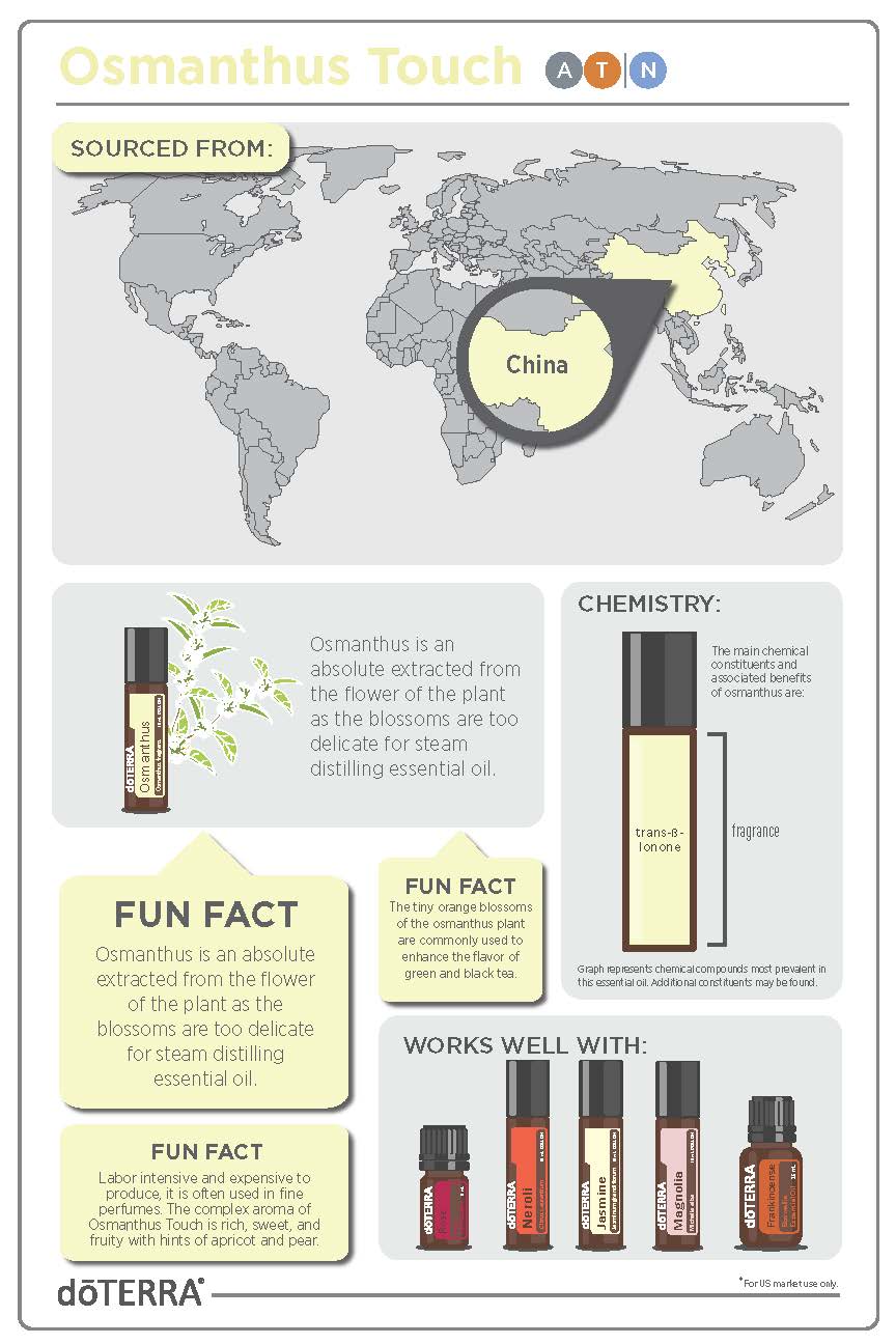 Osmanthus Touch_Infographic_v1.jpg Osmanthus Touch_Infographic_v1.jpg