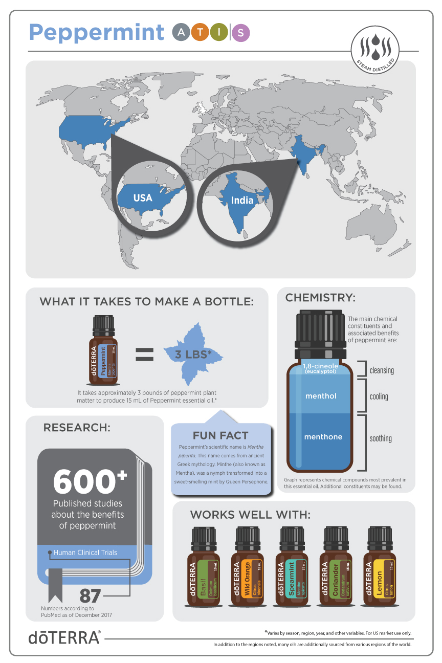 Peppermint Oil Infographic.