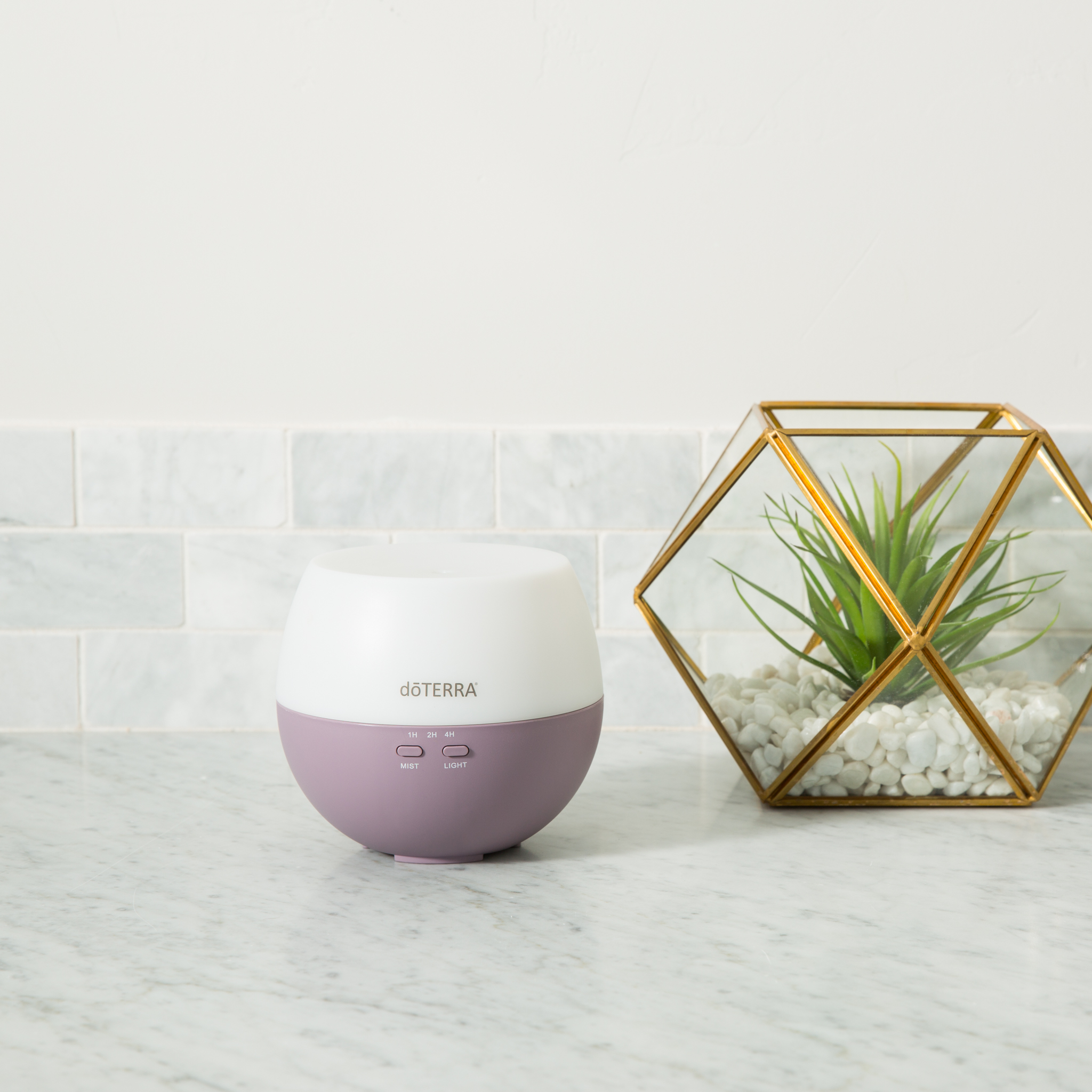 How to Clean our Diffuser | dōTERRA Essential Oils