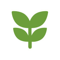 Shinrin Yoku Oil Right Icon