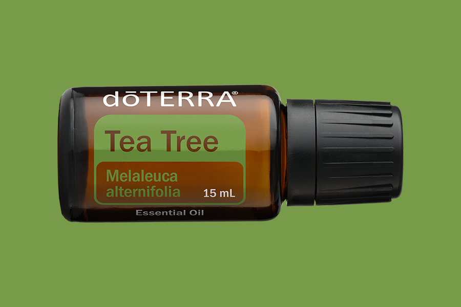 Tea Tree Essential Oil | doTERRA Essential Oils Tea Tree Essential Oil | doTERRA Essential Oils