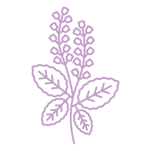 tulsi plant icon