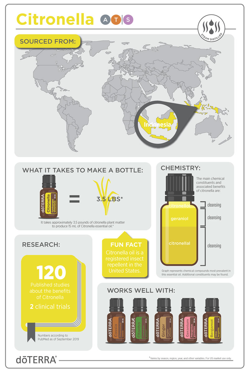 citronella infographic