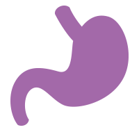 Digestive System Digestive System