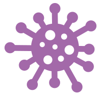 Immune System Immune System