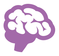 Nervous System Nervous System